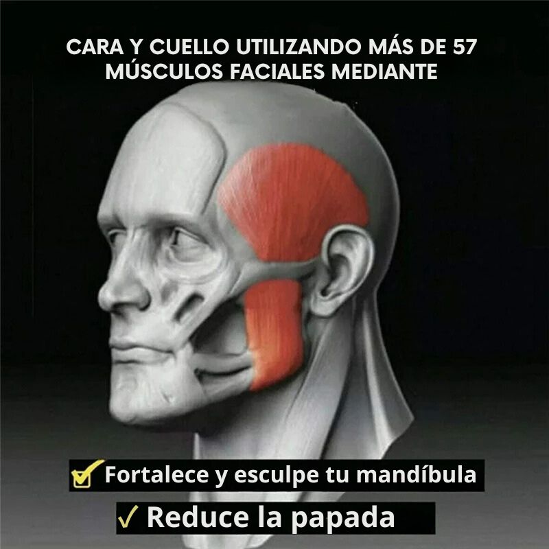 Entrenador de Mandíbula y Reductor de Papada - JawFit™ - 🎁 COMPRA 3 LLÉVATE 6